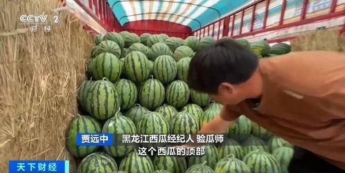 吉原彼岸花手游下载 