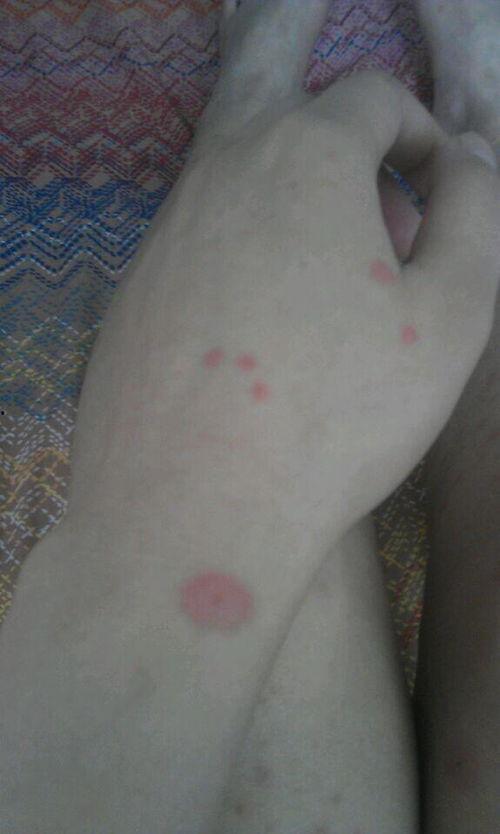 怎么可以吃兔兔 