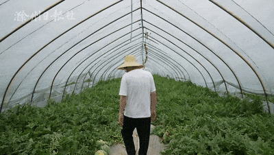 最滁州 