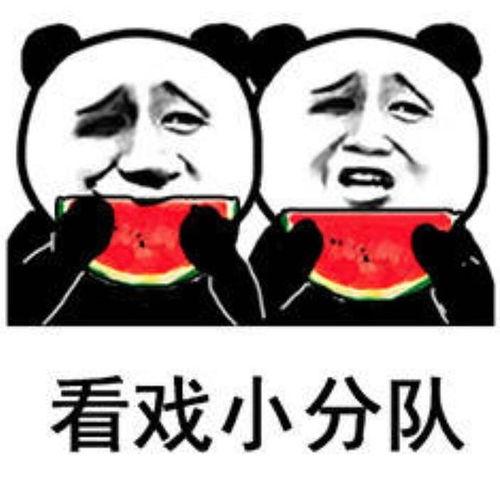表情包大乱斗 