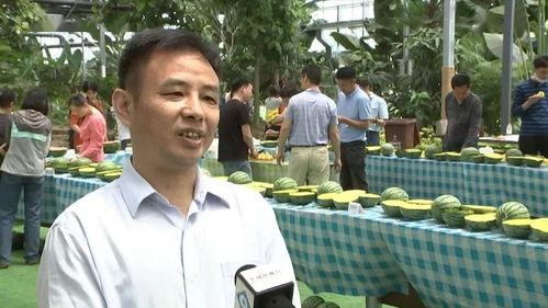 黑料吃瓜网apk普通安装 